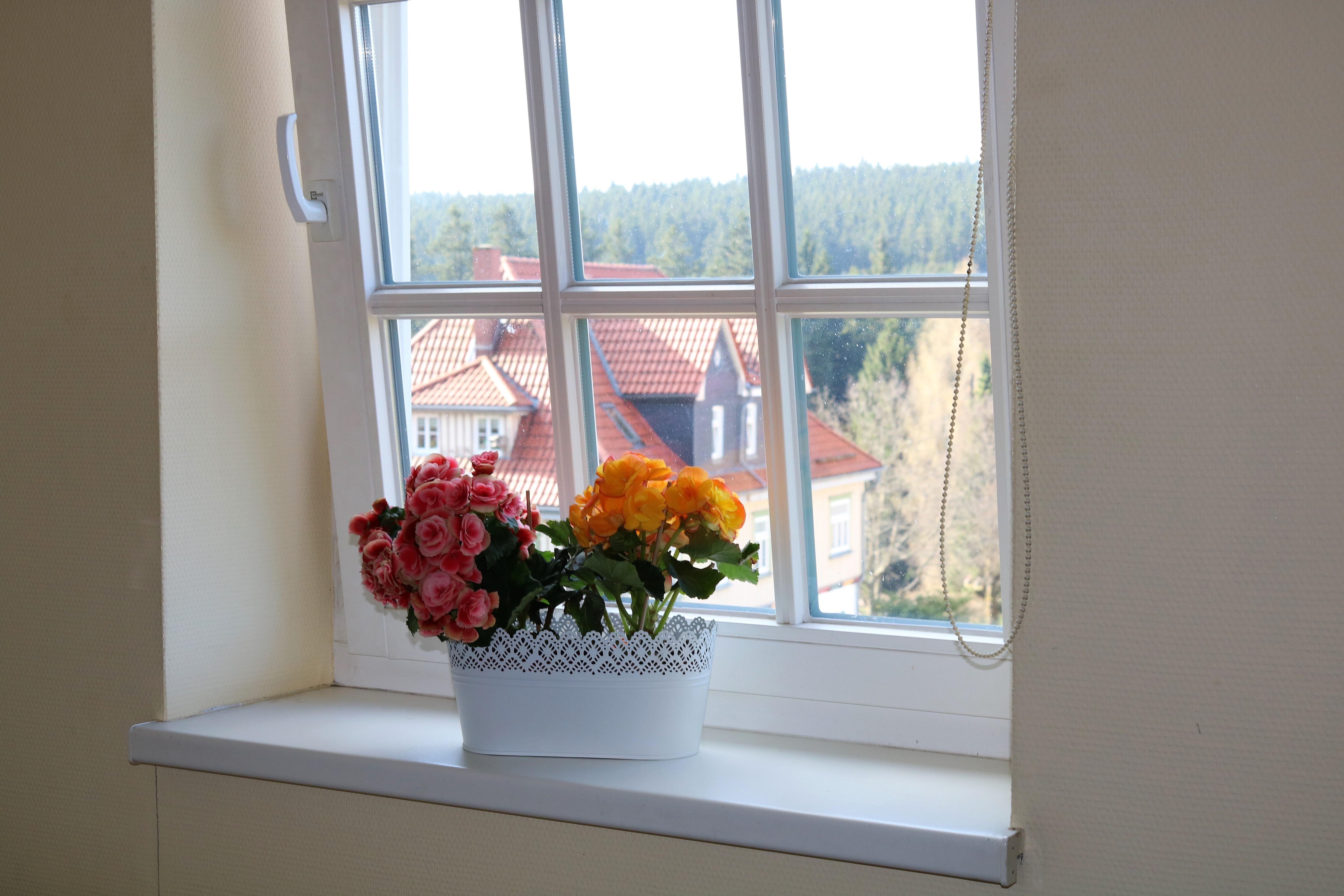 Regiohotel Am Brocken Schierke Extérieur photo